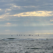 Mensen genieten van vrijheid tijdens het suppen bij Surfschool Castricum.
